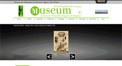 Desktop Screenshot of museum-avignon.org