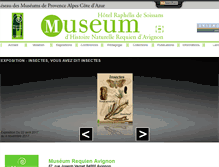 Tablet Screenshot of museum-avignon.org